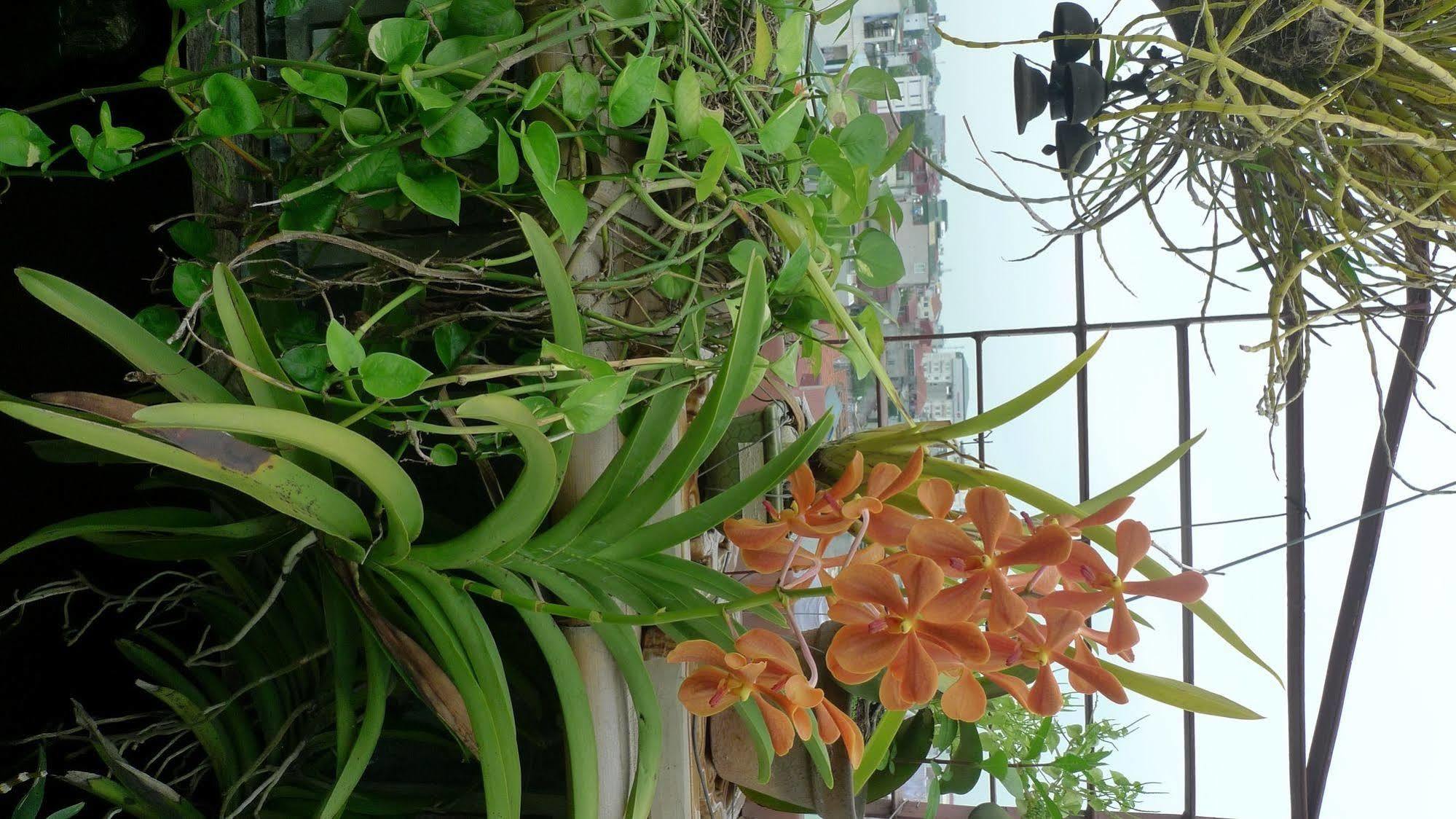 Hotel Garden Queen Hanoi Exterior photo